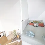 Amalia 44 * Торрев'єха