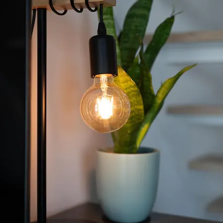 Amalia 44 Торрев'єха