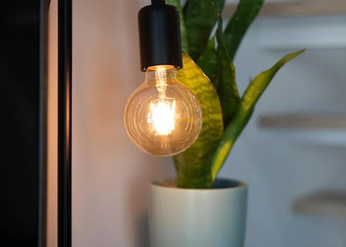 Amalia 44 Torrevieja